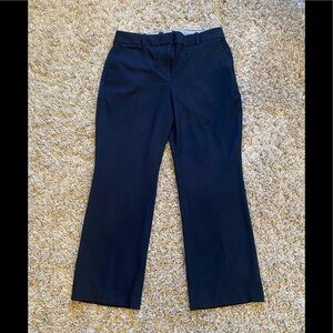 CLASSIC CLOTHING blue dress stretch pants/size 10
